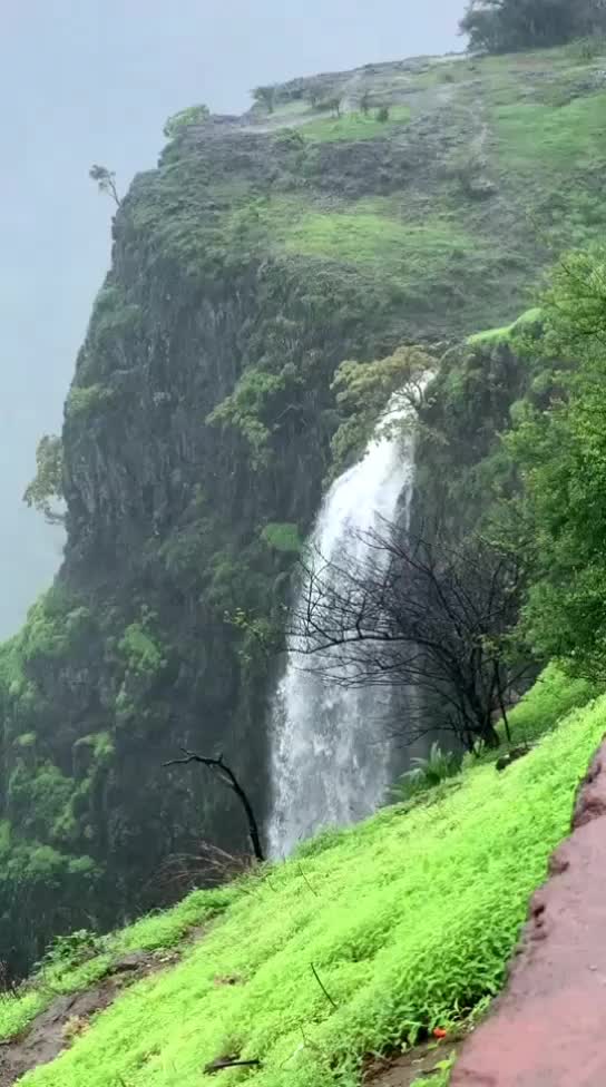 @๐Jass.beniwal ๐๏ธ