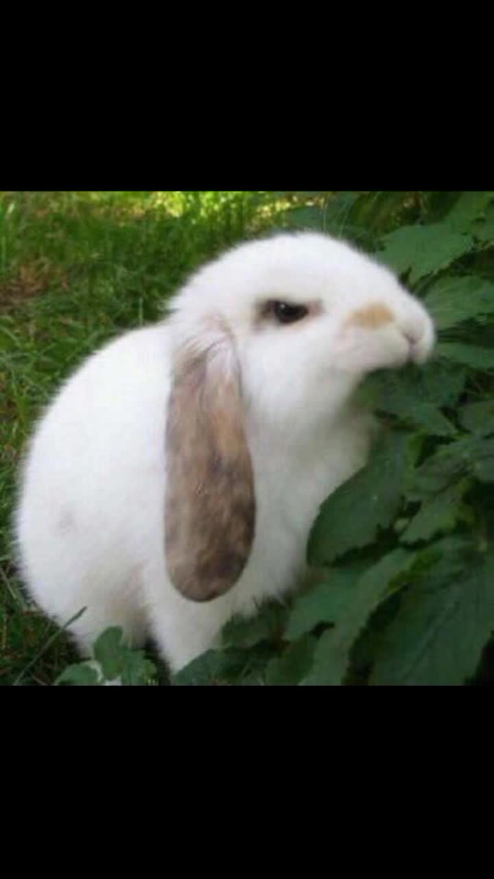 @๐๐๐