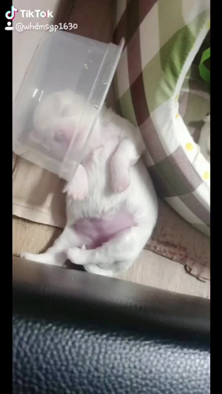 @๋ง์ค