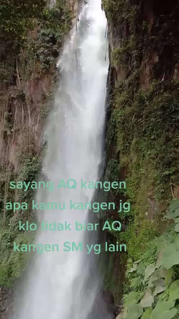 @@ jAniS