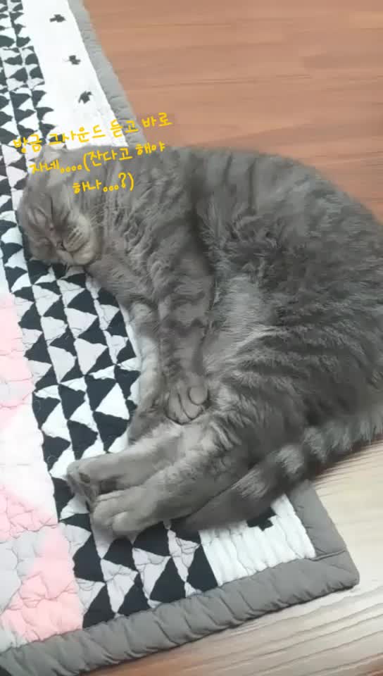 @「율딩」§