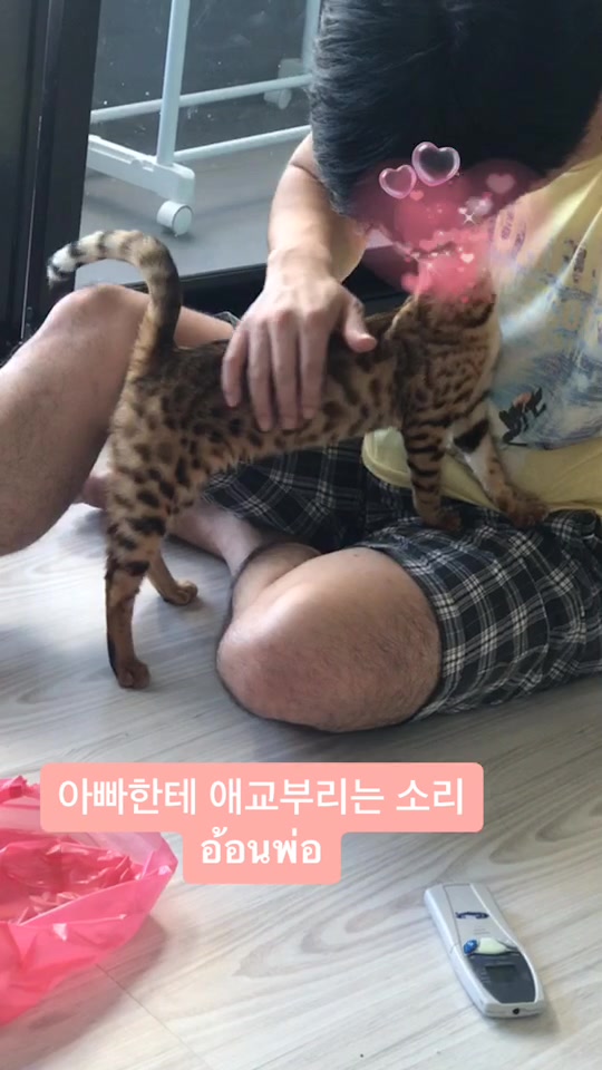 @layjudfamily🐾🐱
