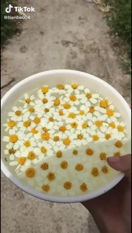 @●︿●