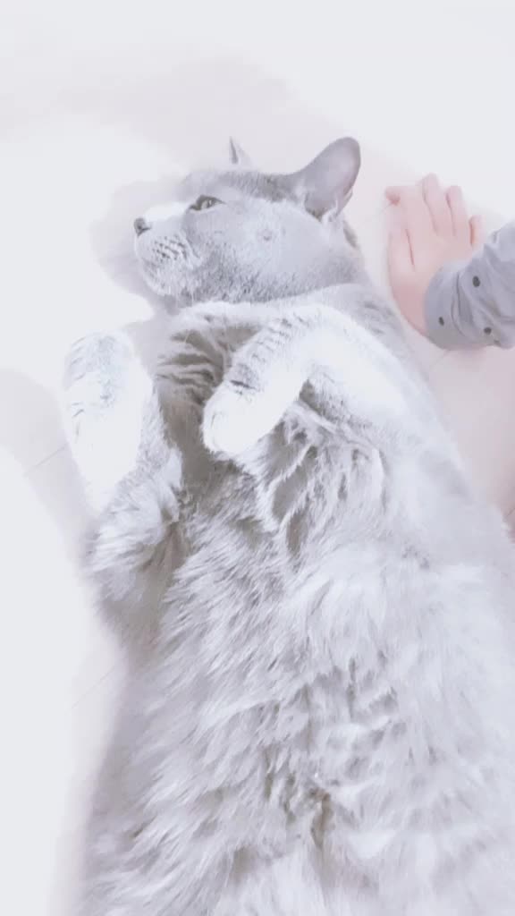 @희엘