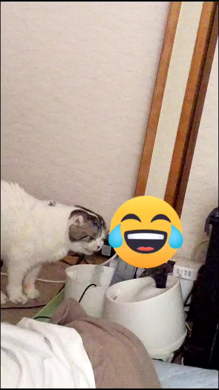 @レオฅ(^^ฅ)