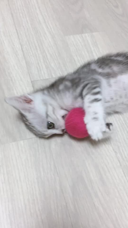 @이리