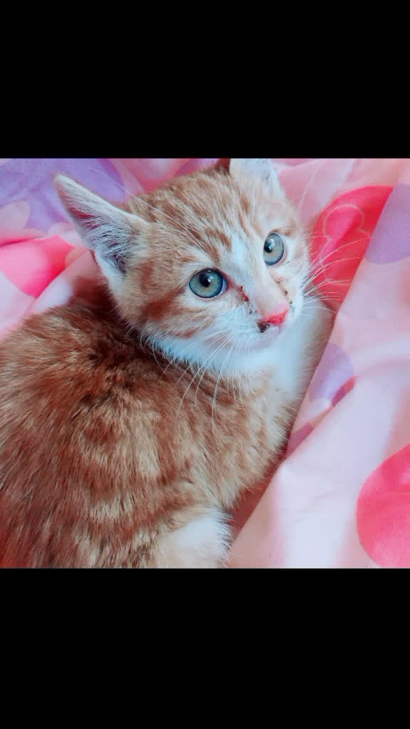 @孝 輝🥀