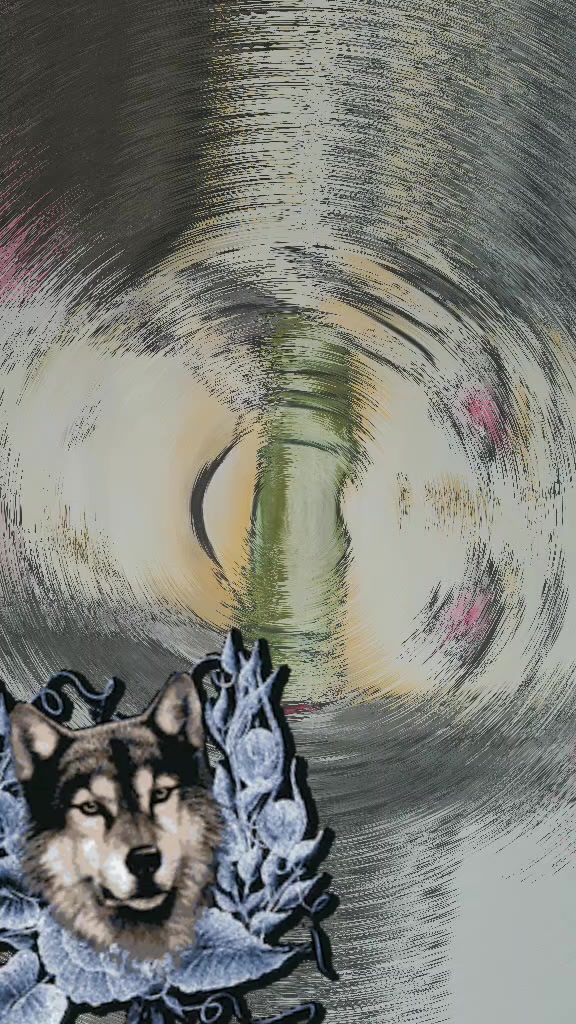 @波狼🐺