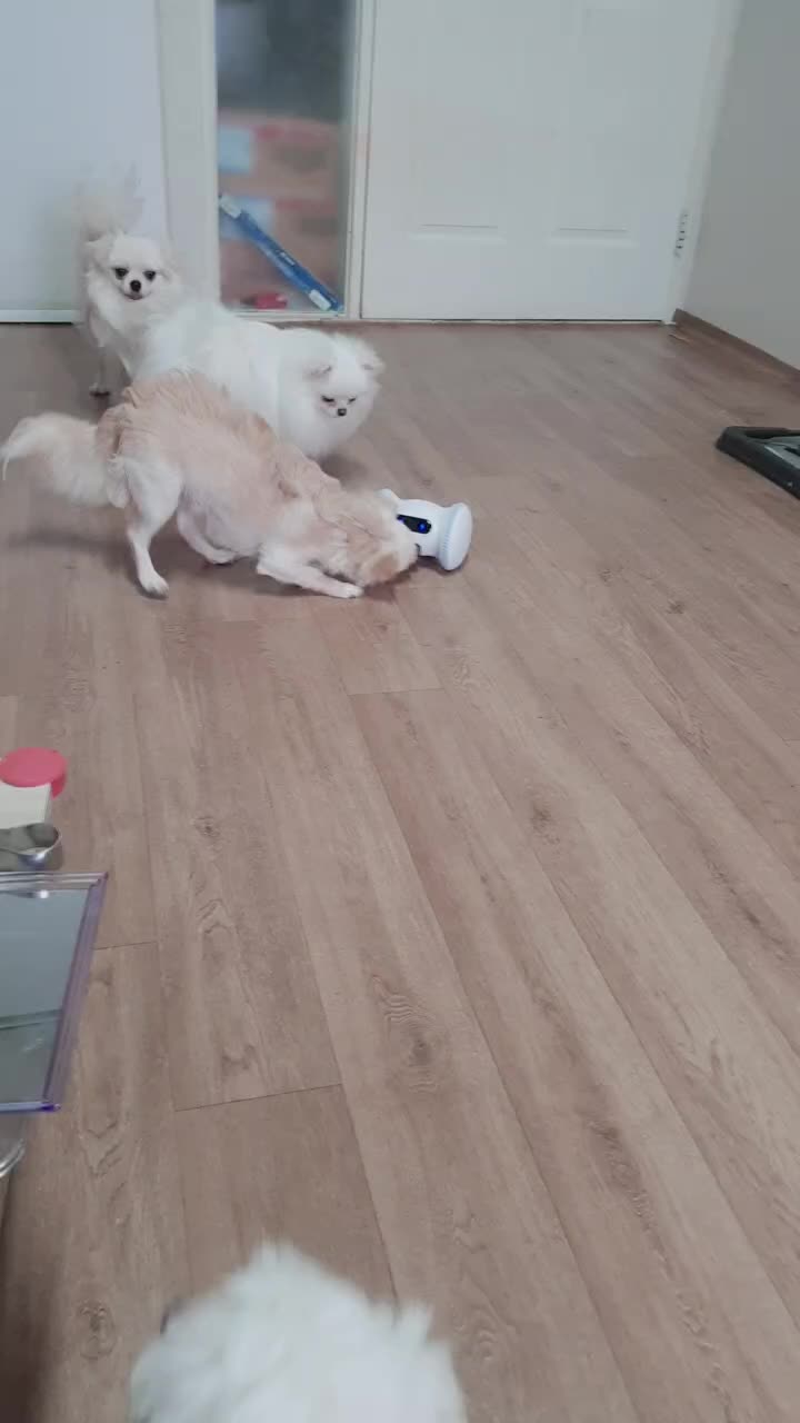@๋ง์ค