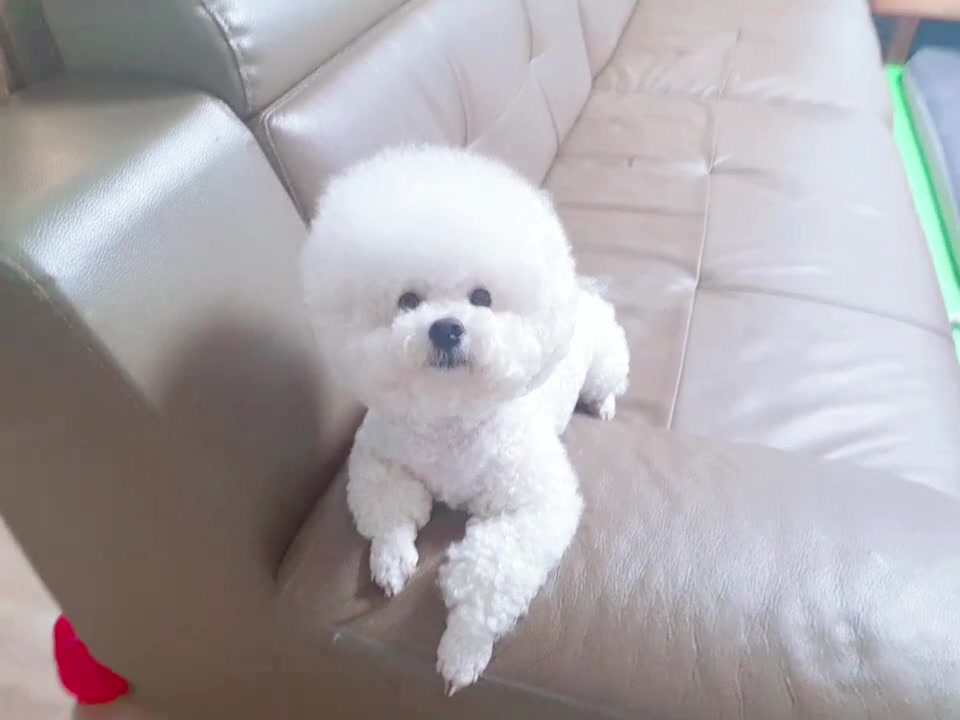 @더기