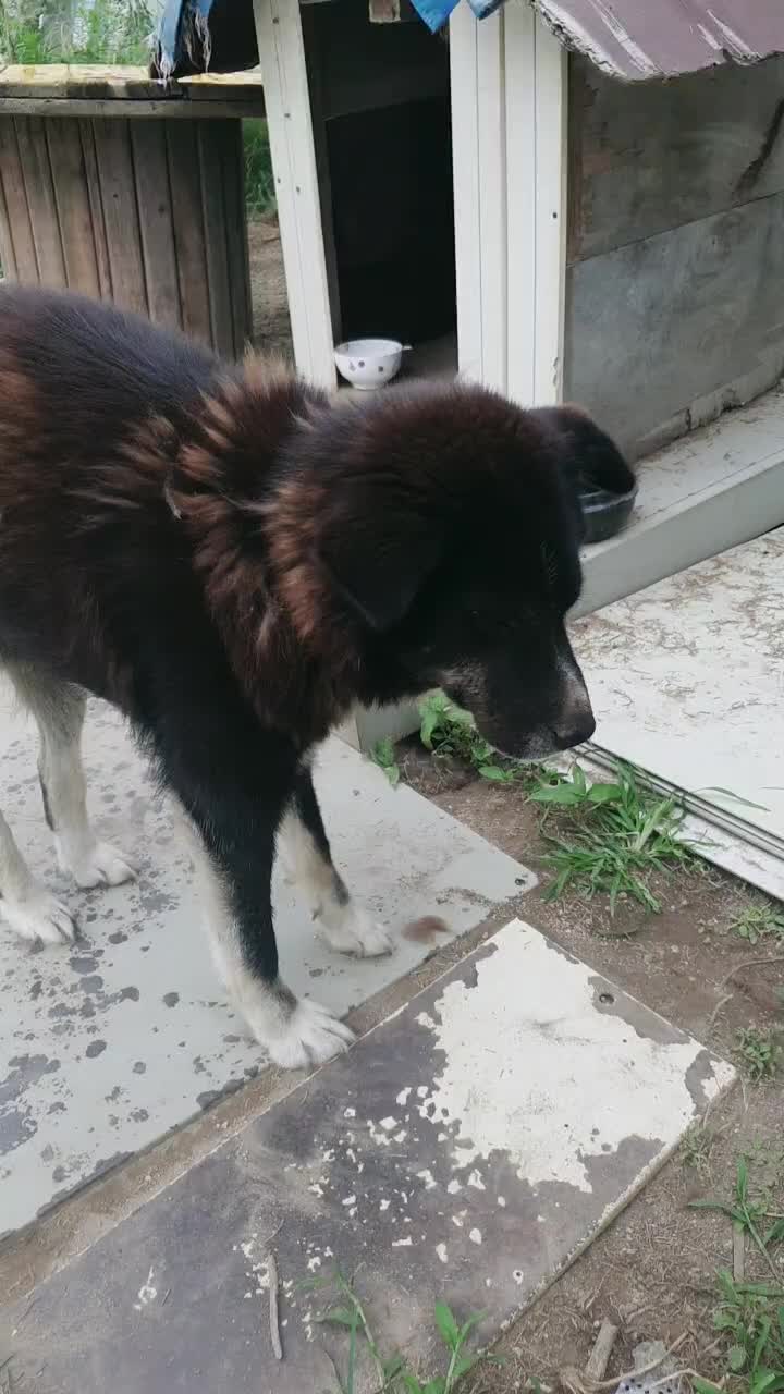 @서민수