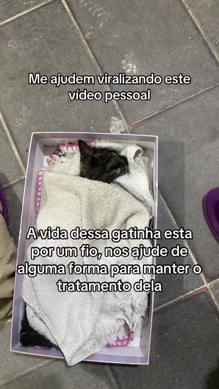 @Giovana Viana