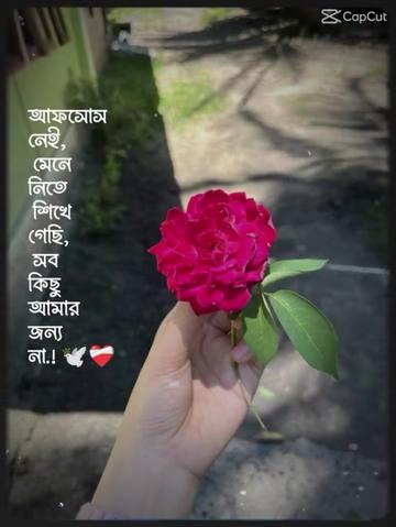 @😥😥 হৃদয় ভাঙ্গা গল্প 😥😥