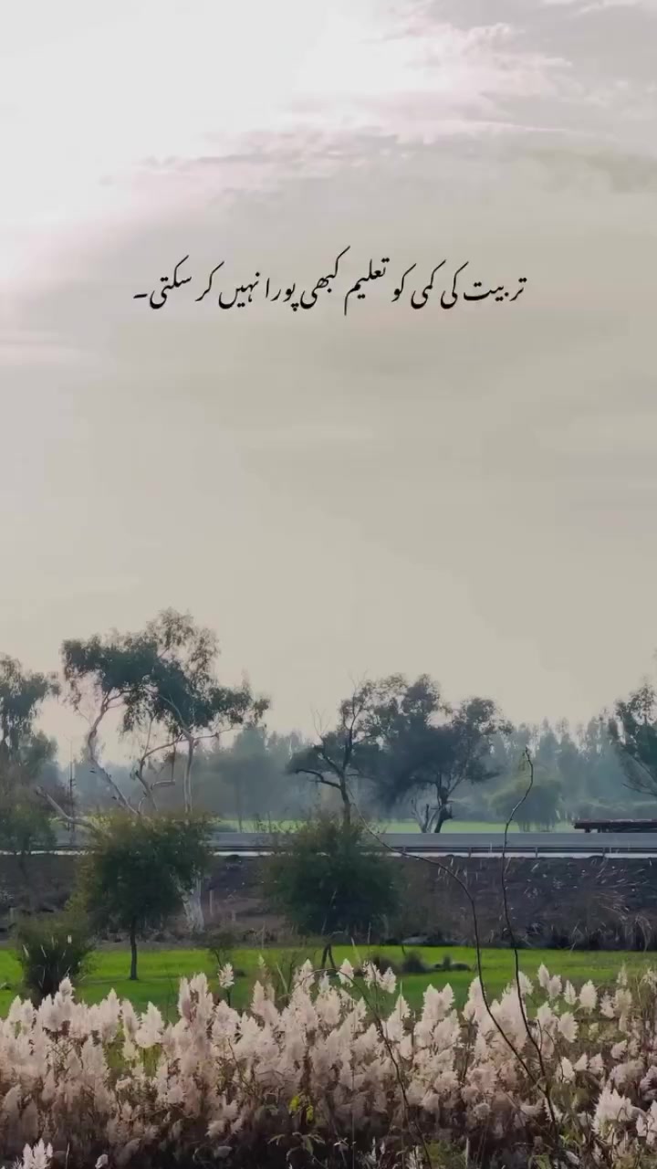 @Mr BiLAL...❤️