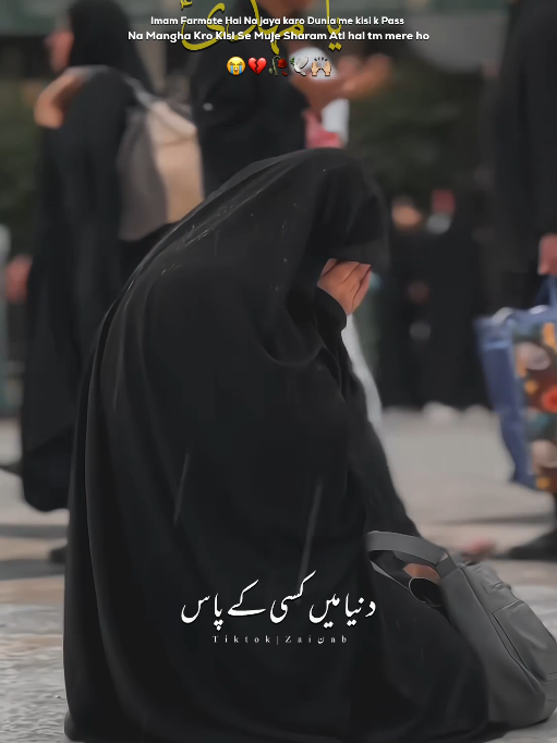 @𝐙𝐀𝐈ن𝐀𝐛ރ