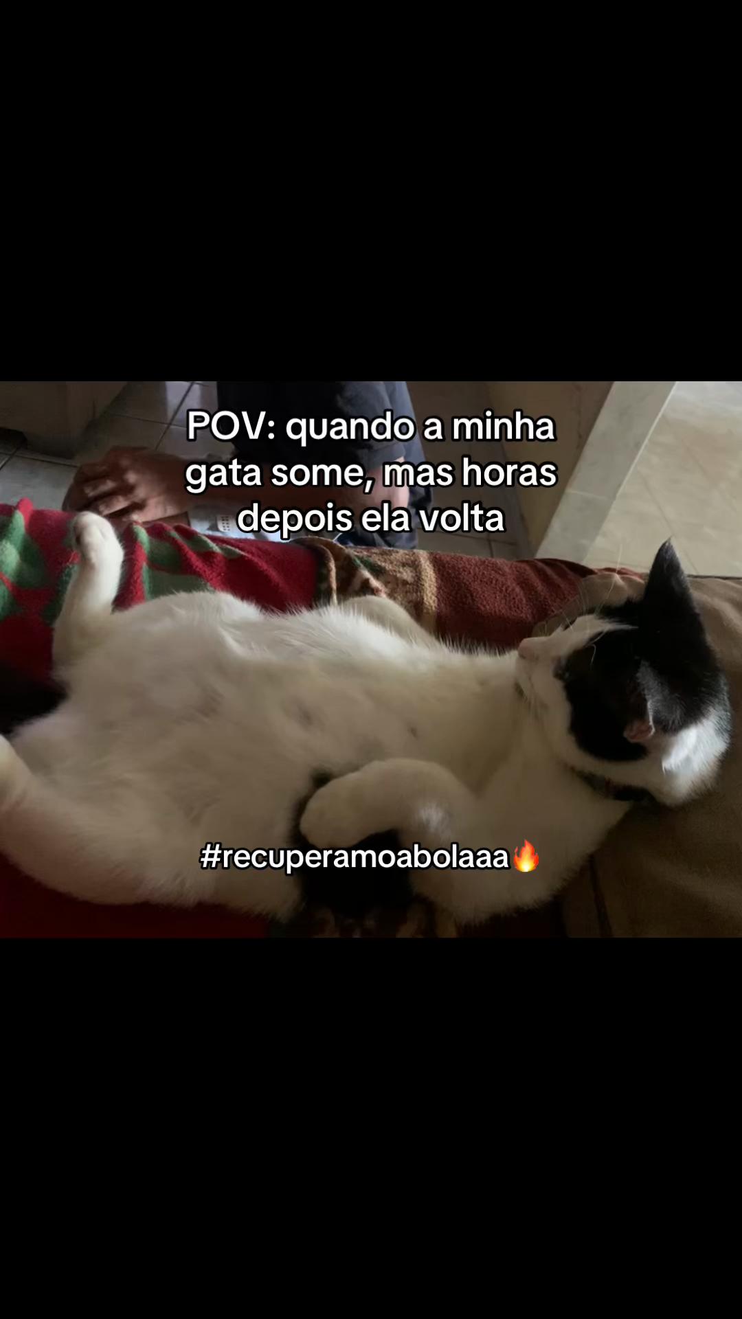 @sena