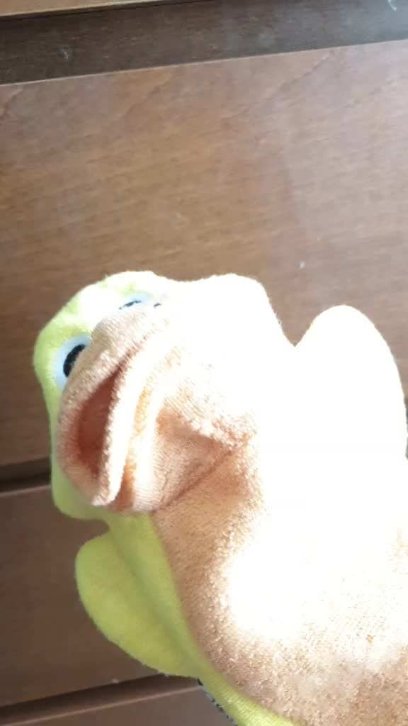 @donald ducc 2