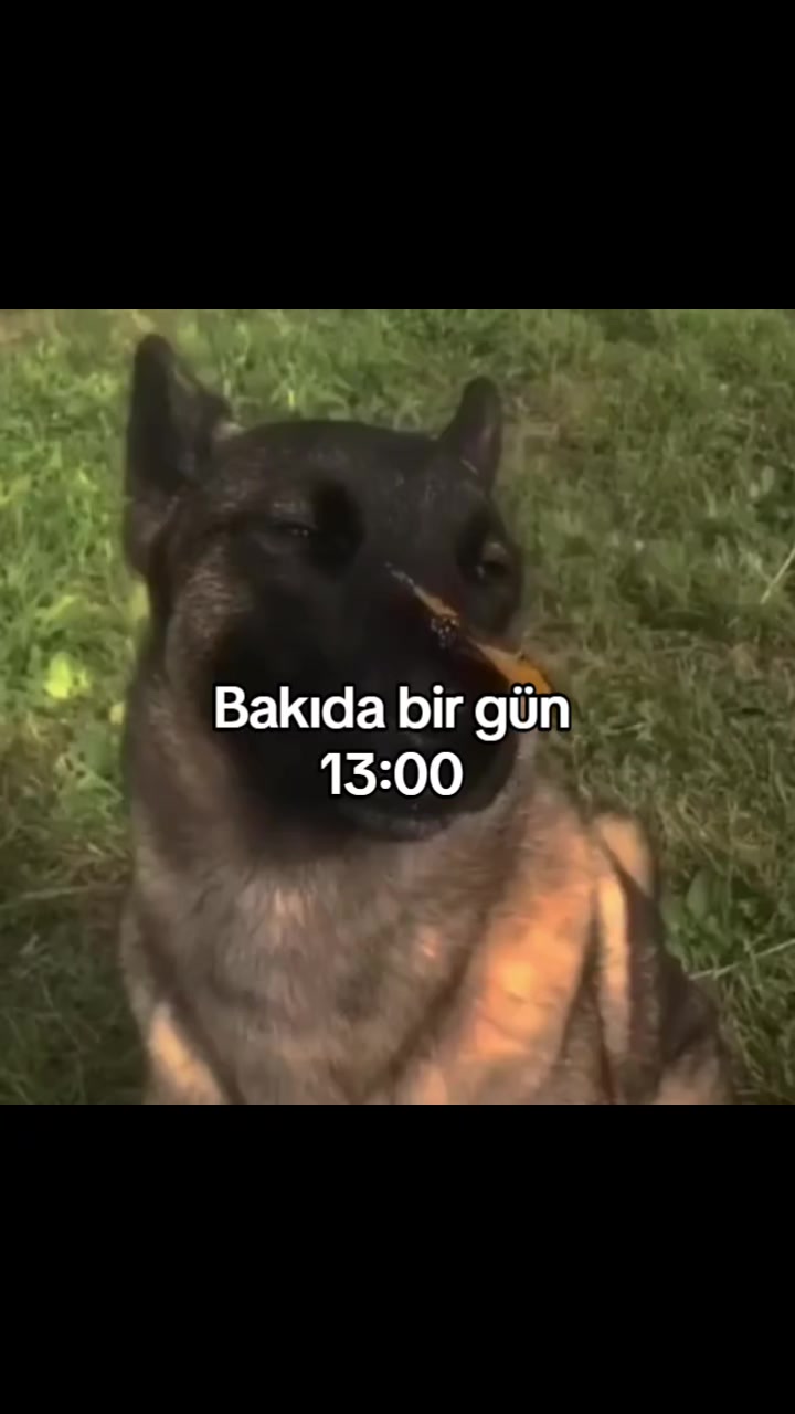 @idi imiw