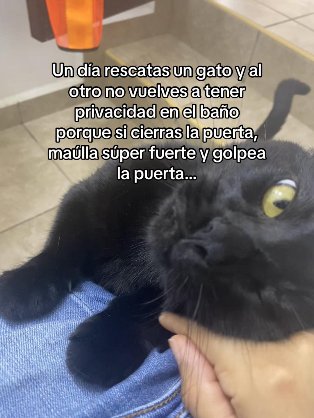 @ilse bermudez