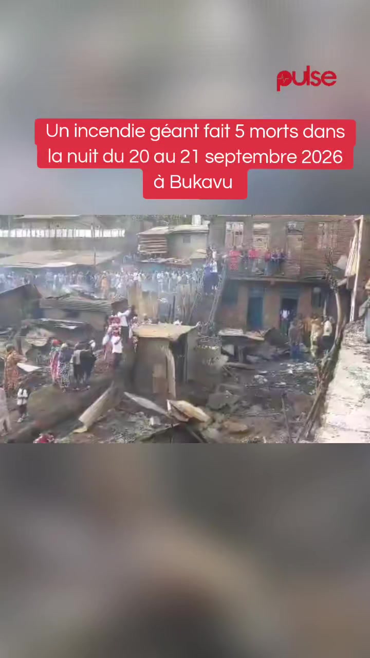 @Pulse Congo