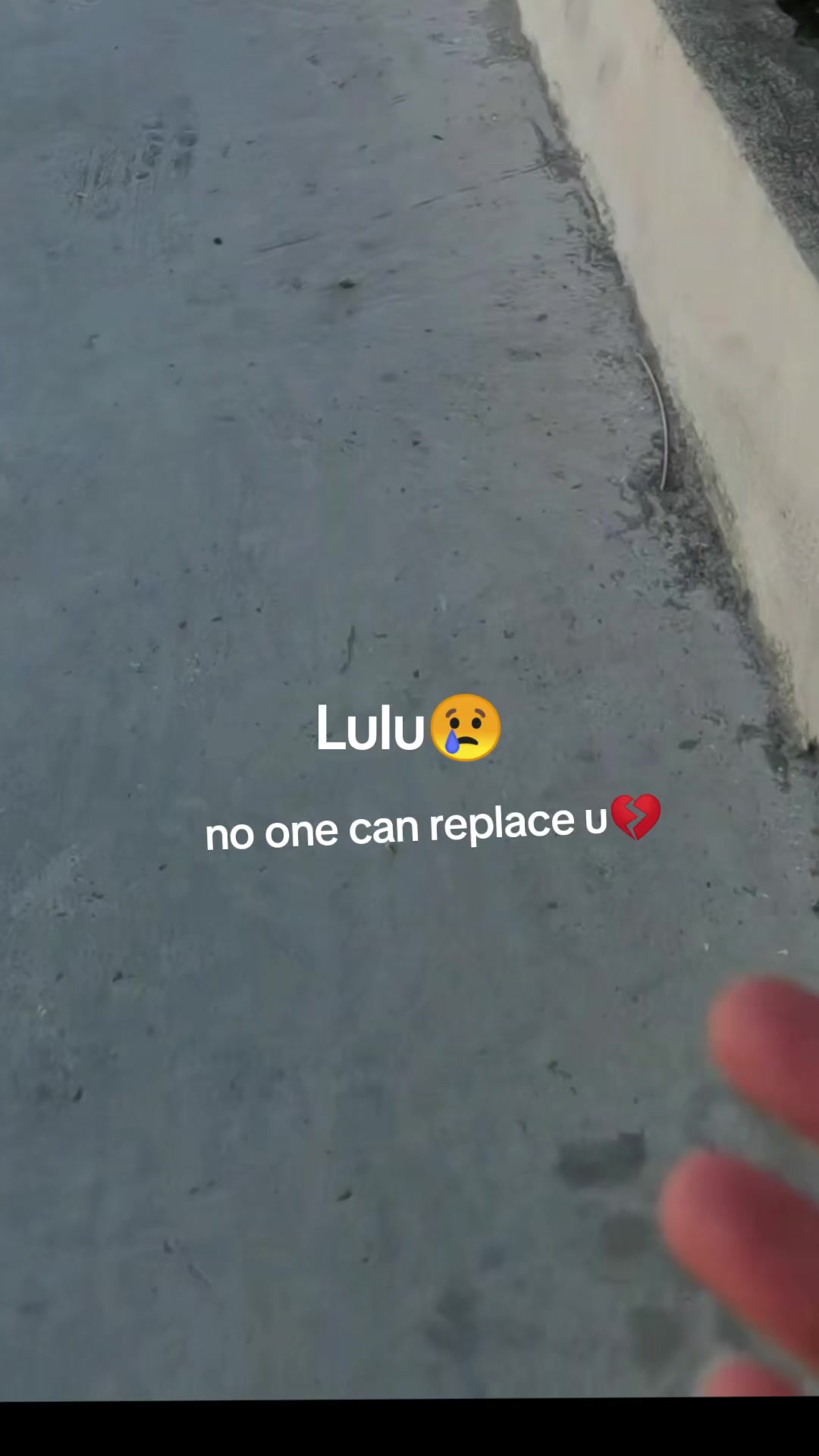 @Catslover