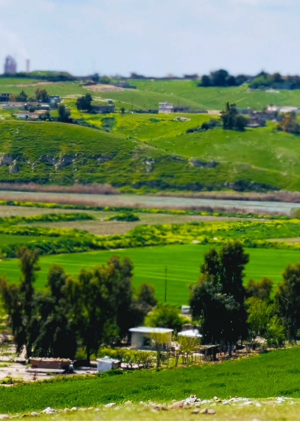@علوش