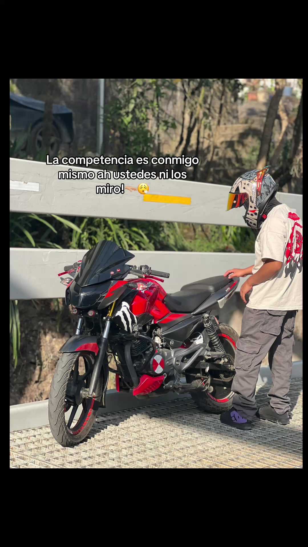 @Mininocturna🚀