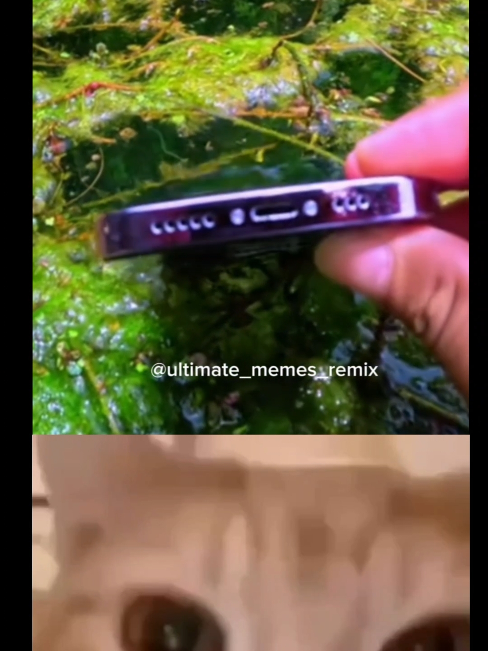 @supreme memes remix 🗿