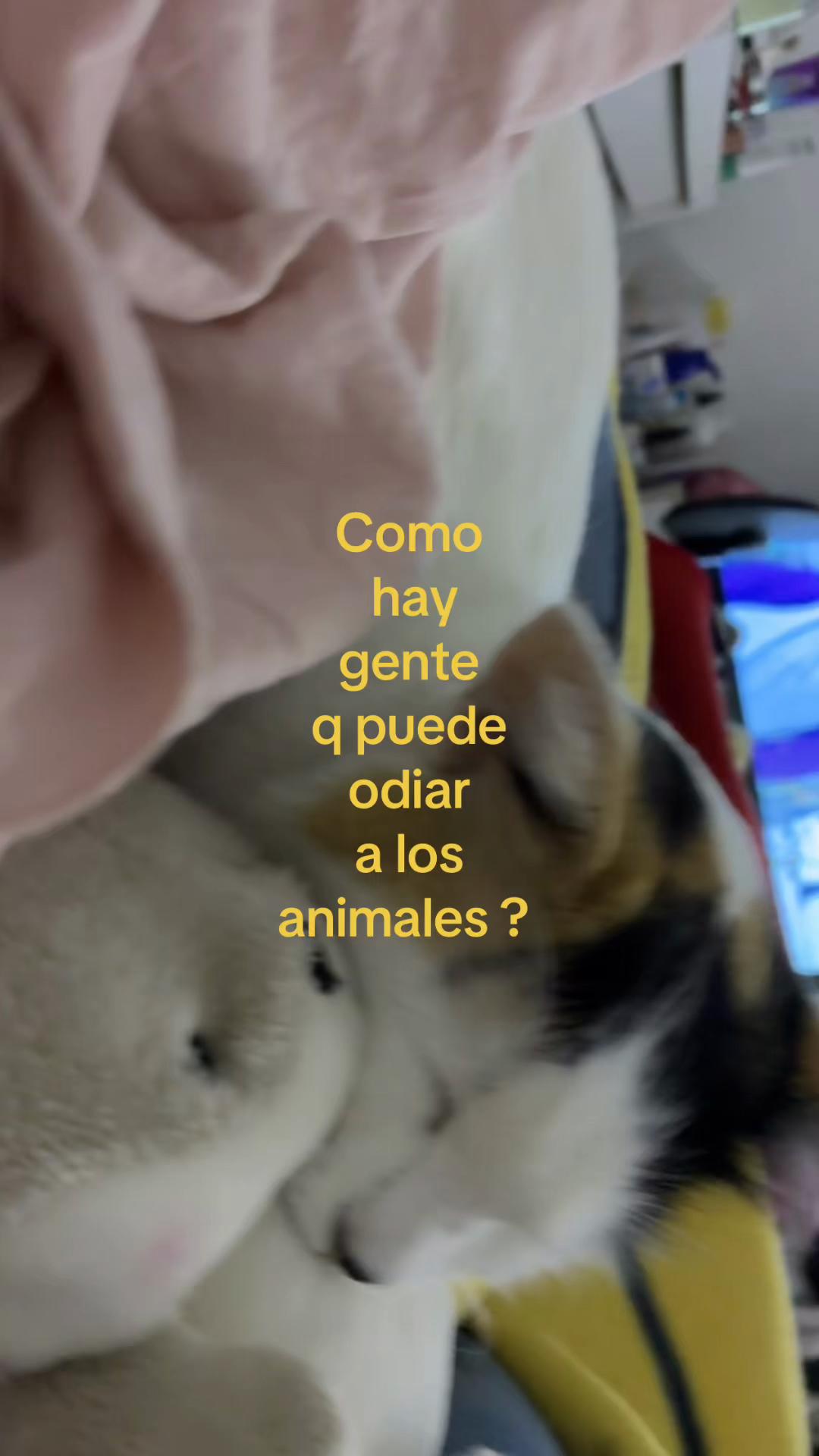 @𝐓