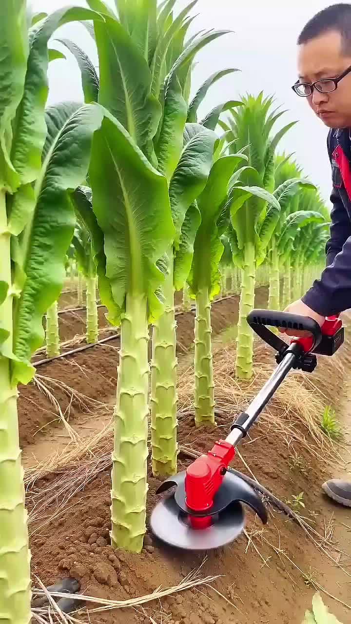 @◉‿◉
