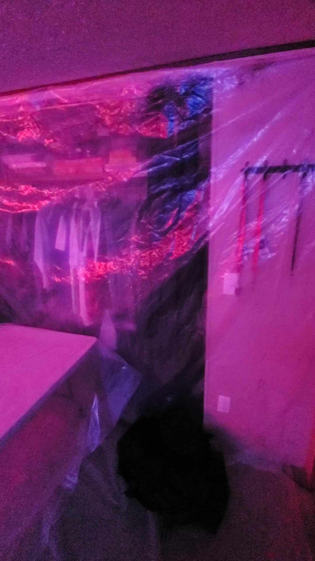 @Kuviqn🧛♂️🩸