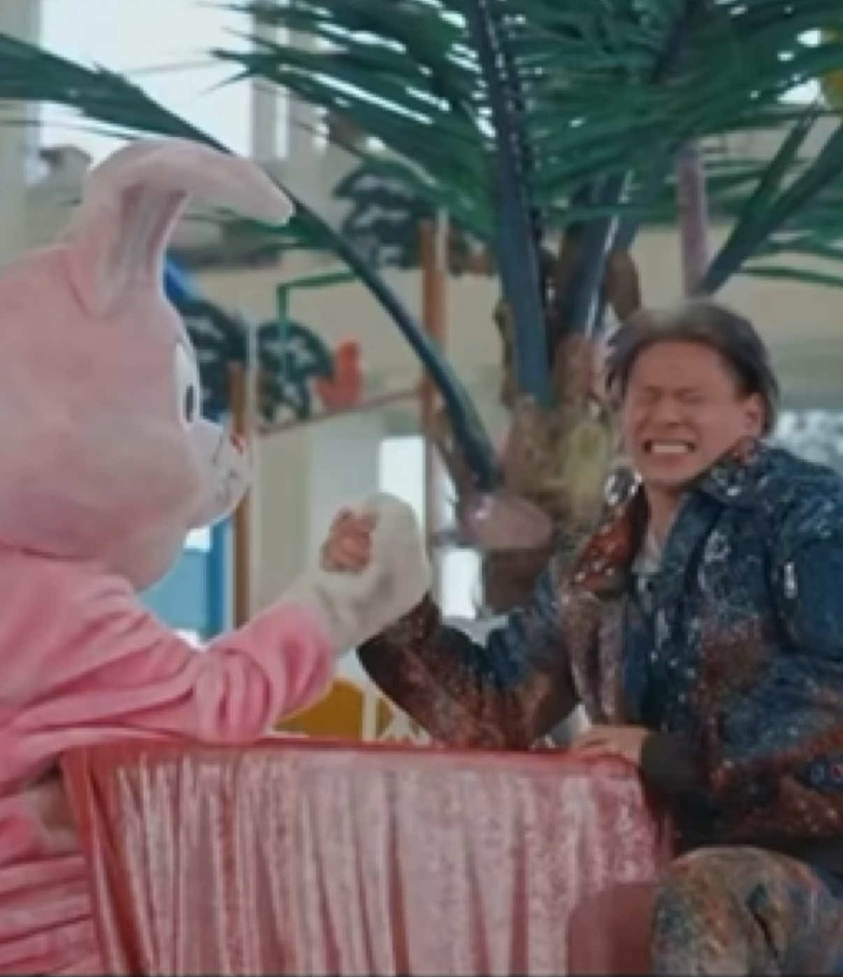 @🐦