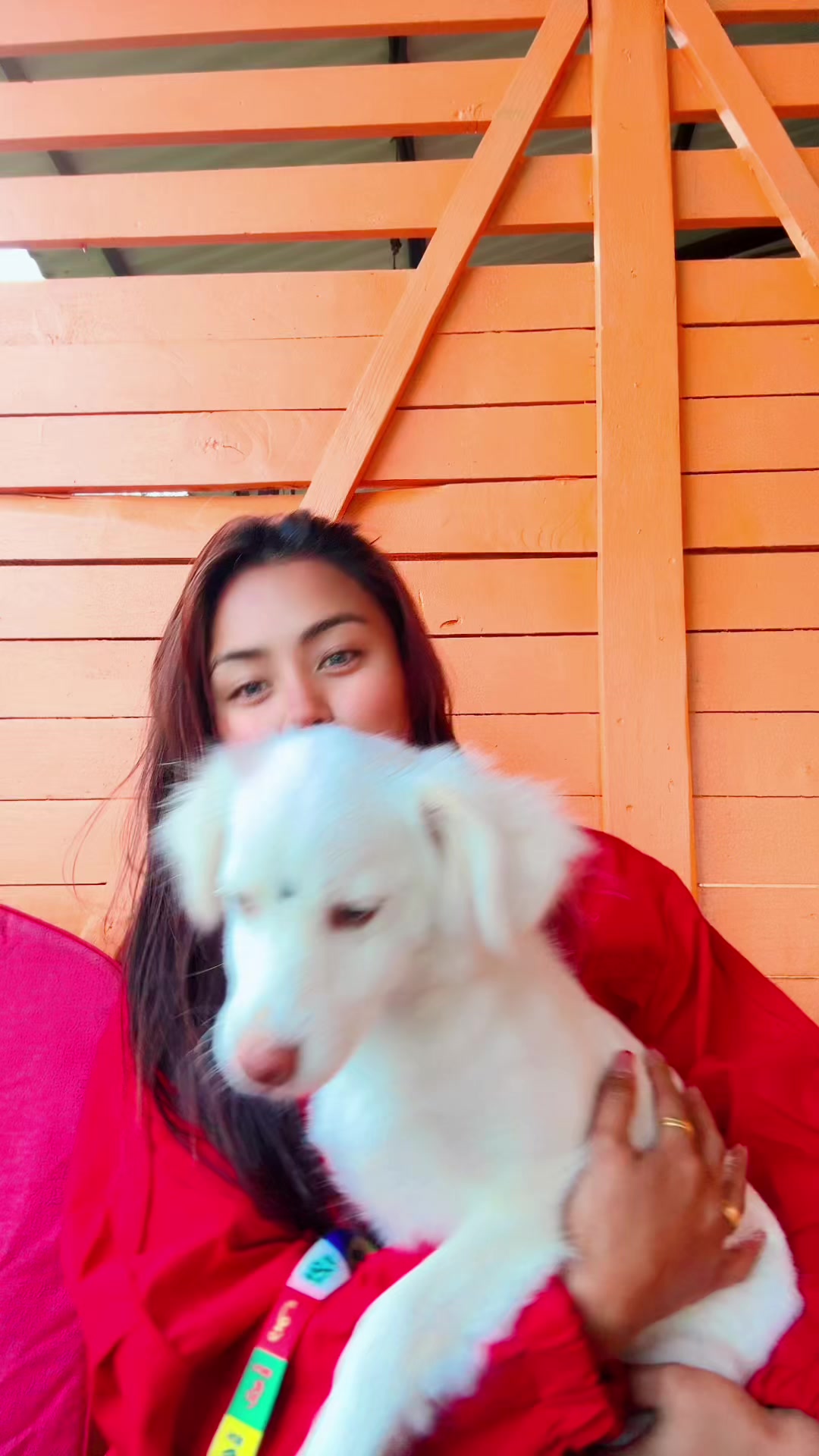 @roshnilamalo
