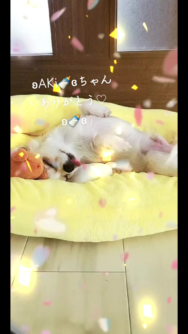 @ʚばぶℂʰäⁿ🍼ɞ