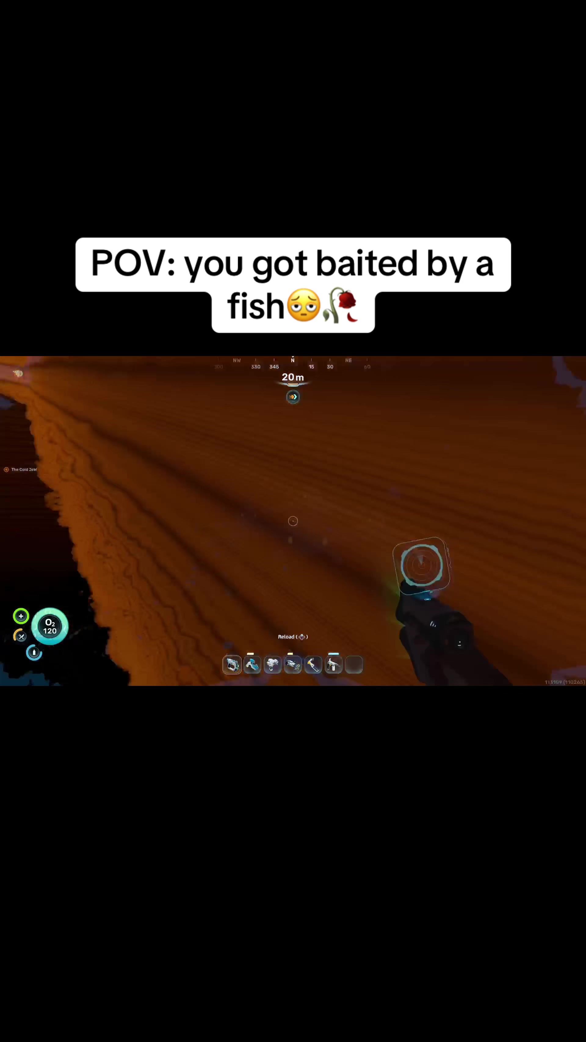 @sandyhoodrat