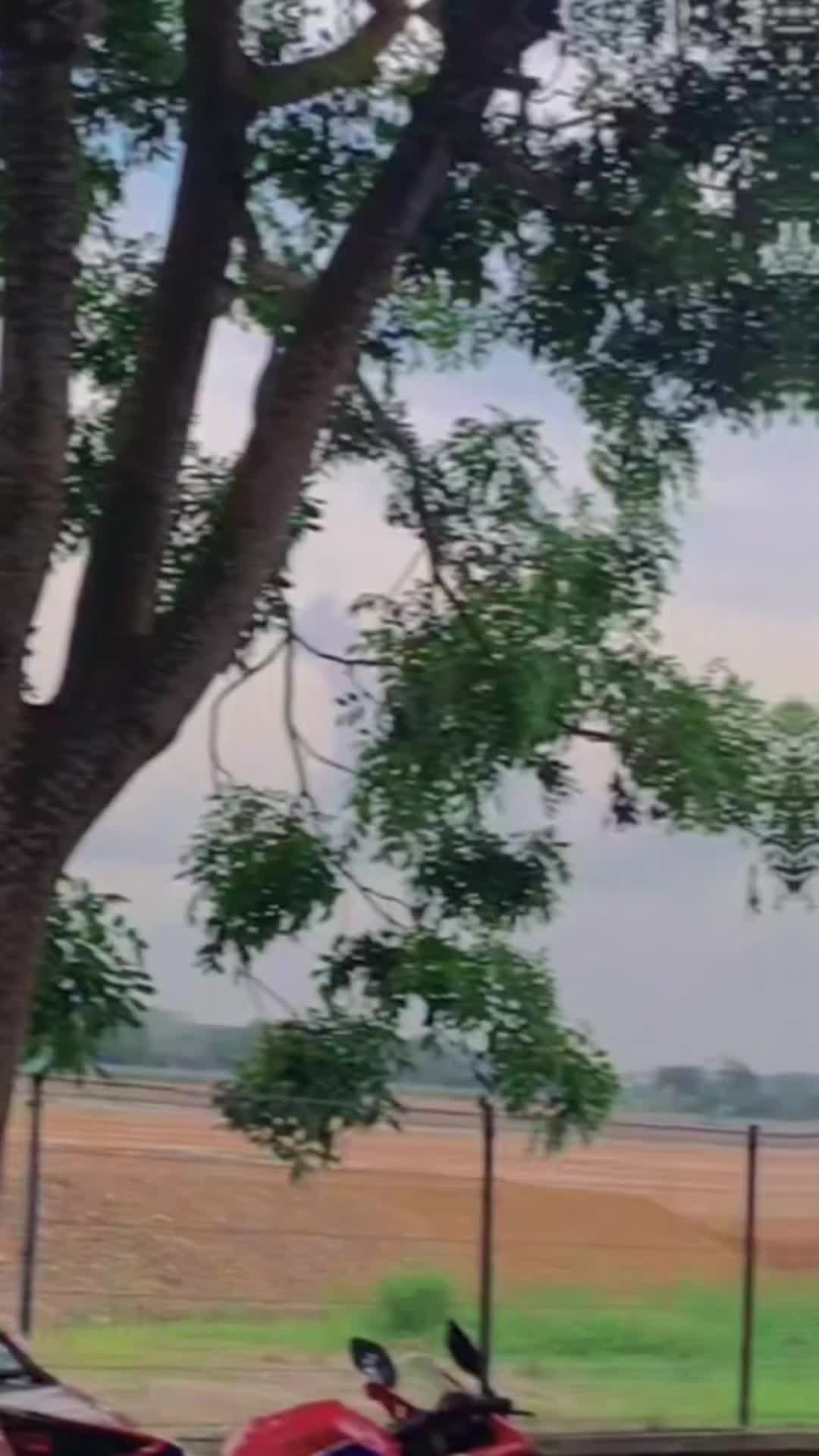 @๐ญ ๐ฆ/๐ฝ ๐ท๐ท๐พ๐ฎ