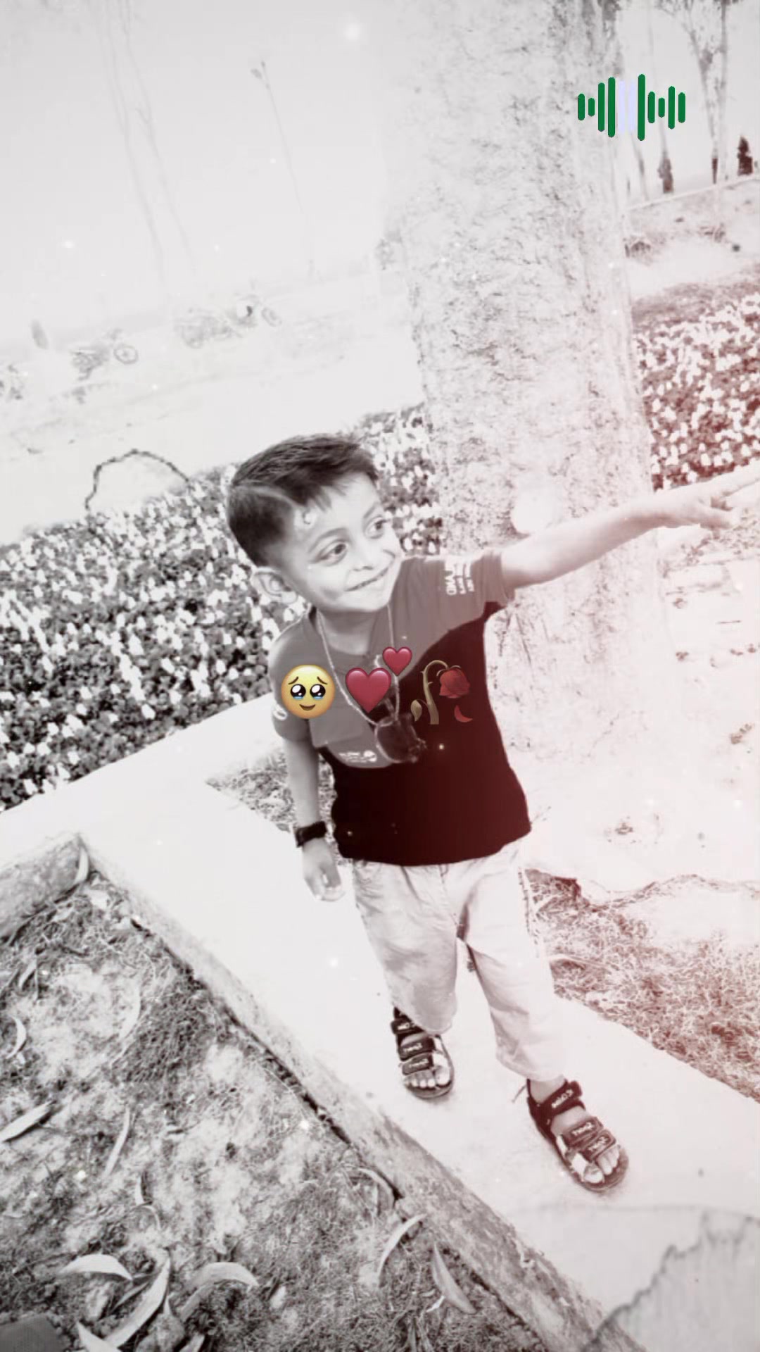 @Md Rony