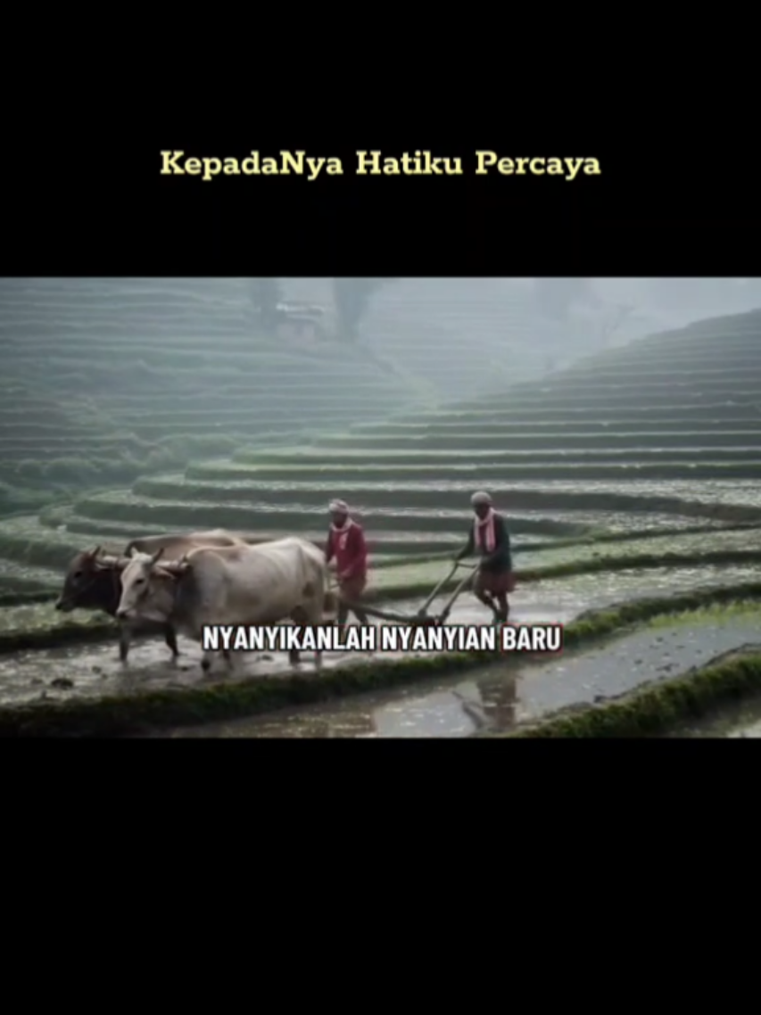 @Bulir Padi