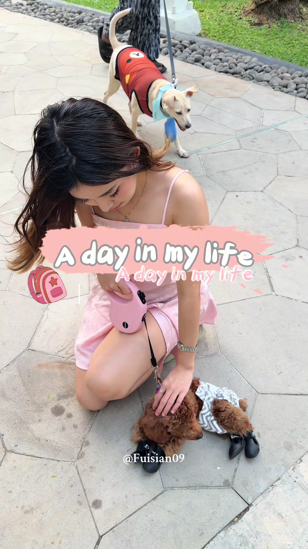 @fuisian09