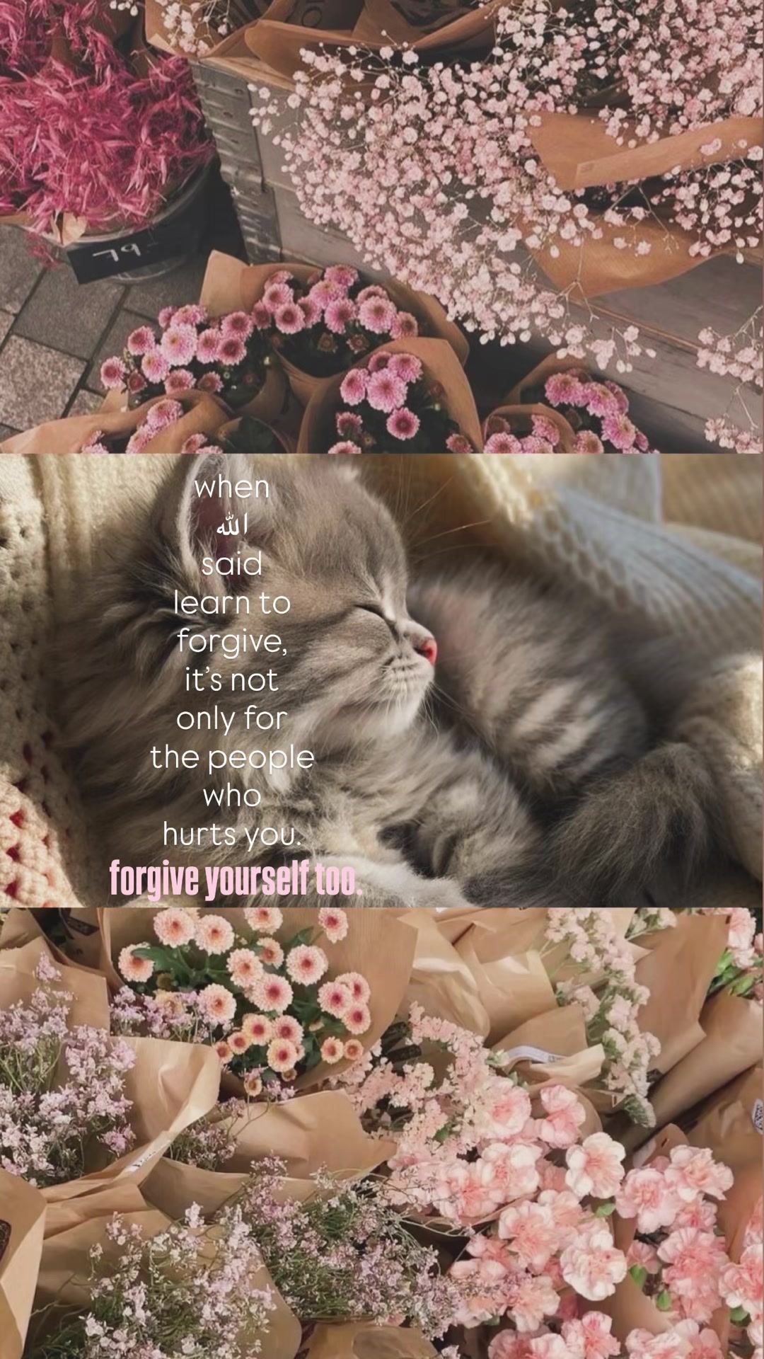@islamfamm
