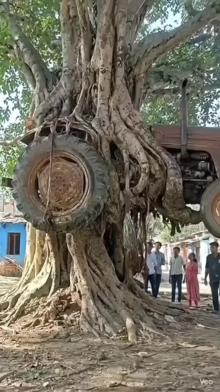 @𝐁𝐈𝐒𝐇𝐍𝐔 𝐃𝐄𝐕