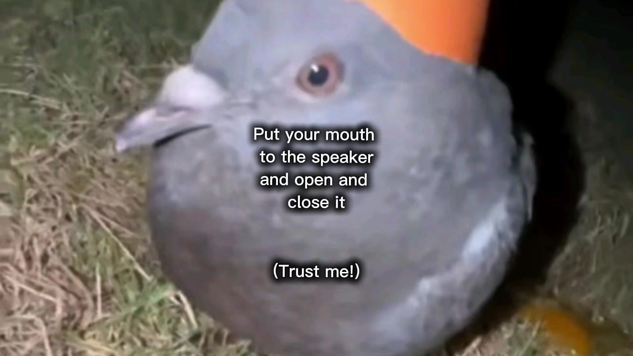 @Pigeon fan