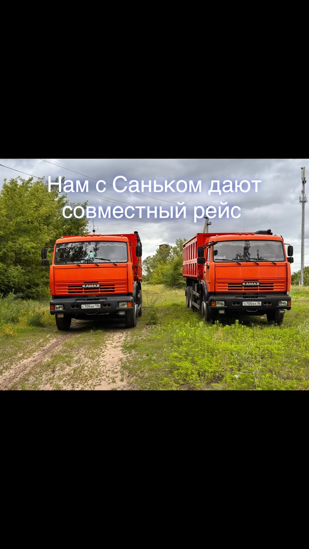 @Гриша