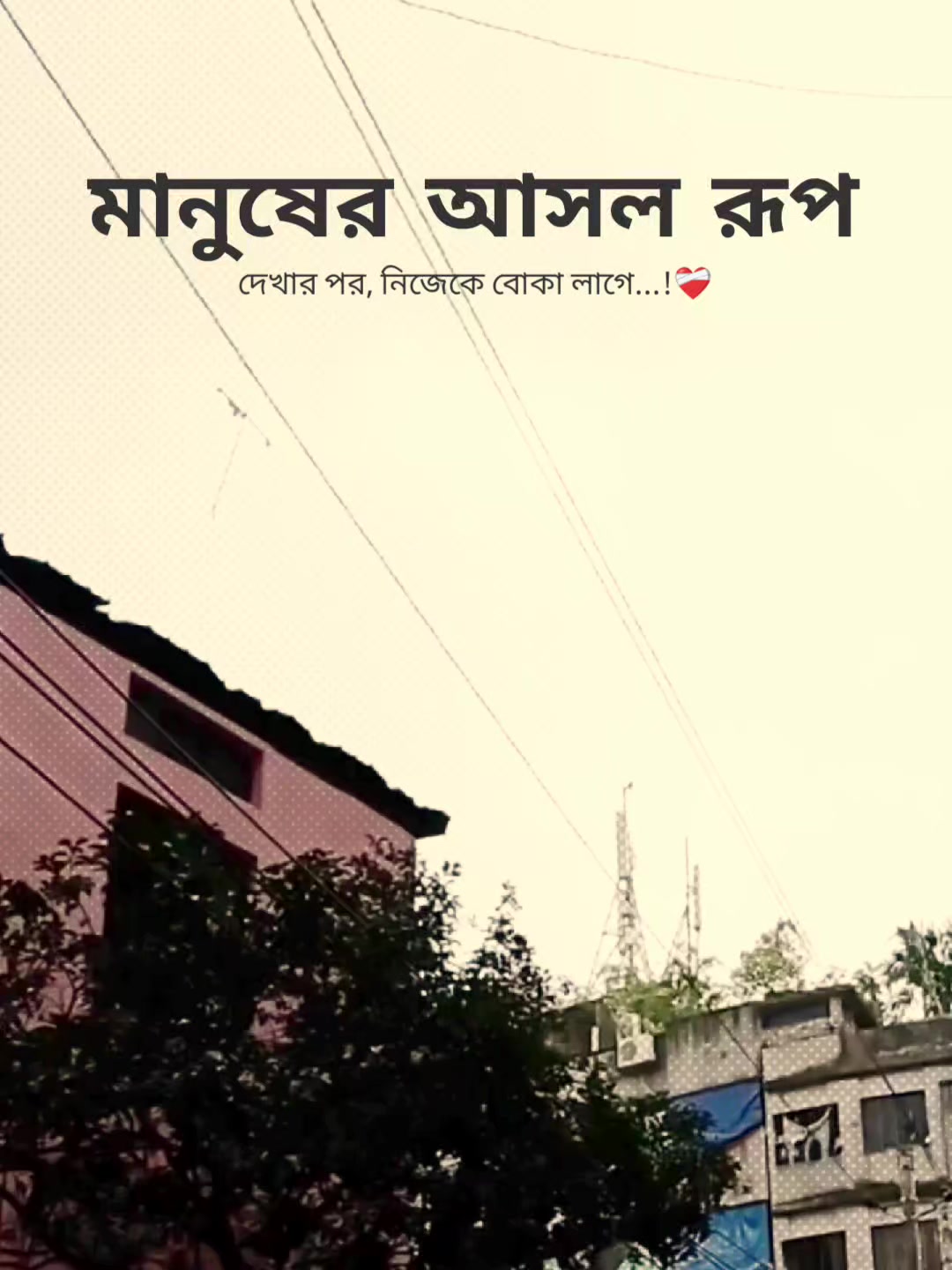@꧁⭑শেষ পৃষ্ঠা⭑꧂