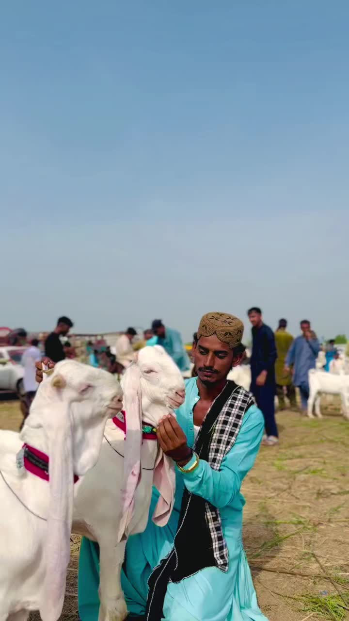 @✨.زاهد سولنگي واپاري. 🐐