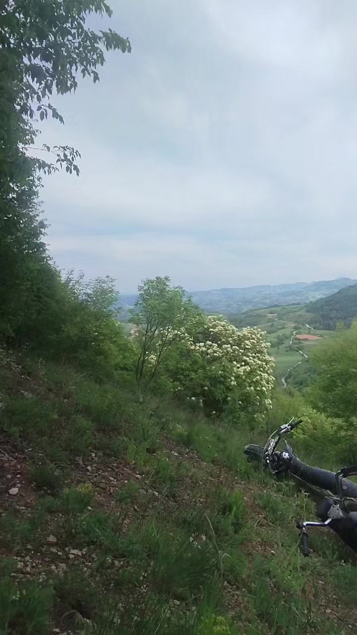 @Acimovic1235
