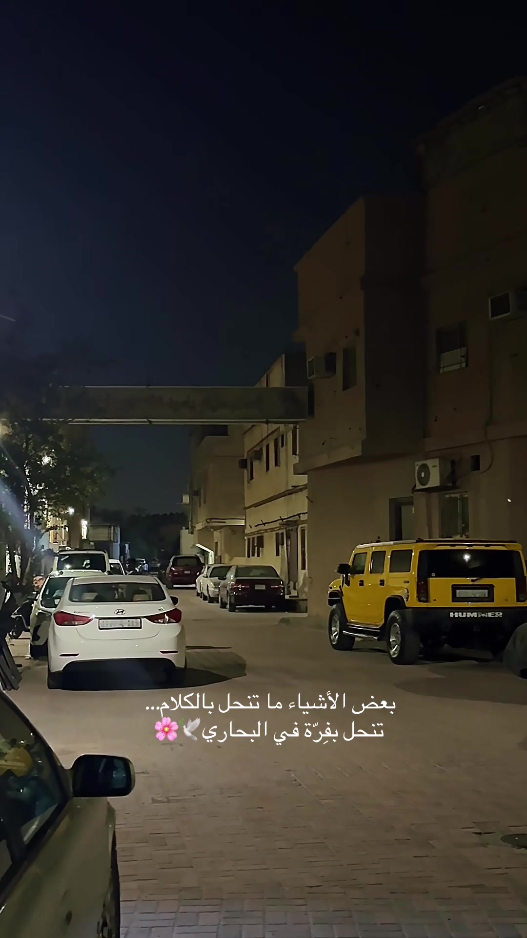 @Zahra_video
