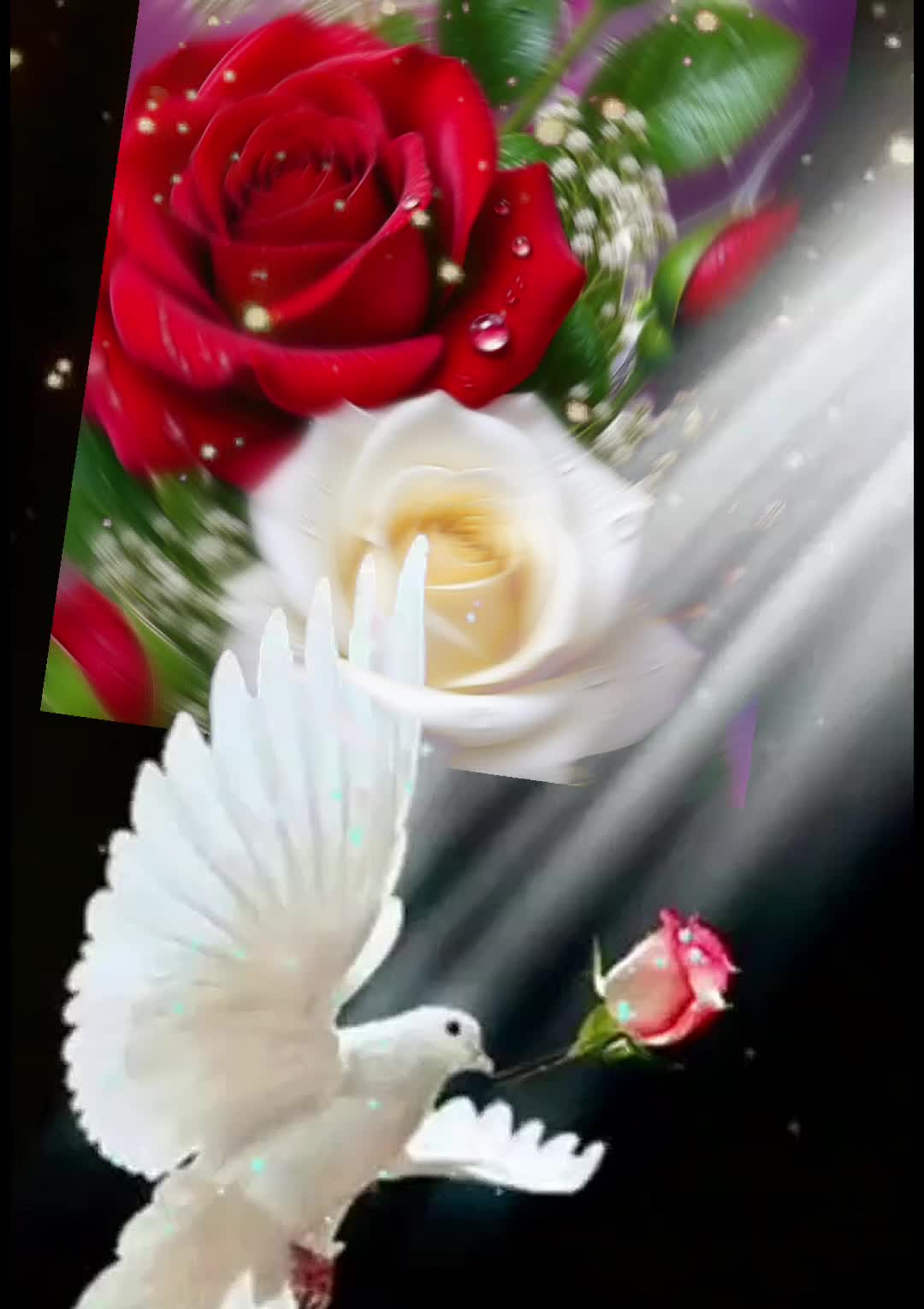 @♥️ அம்மு♥️