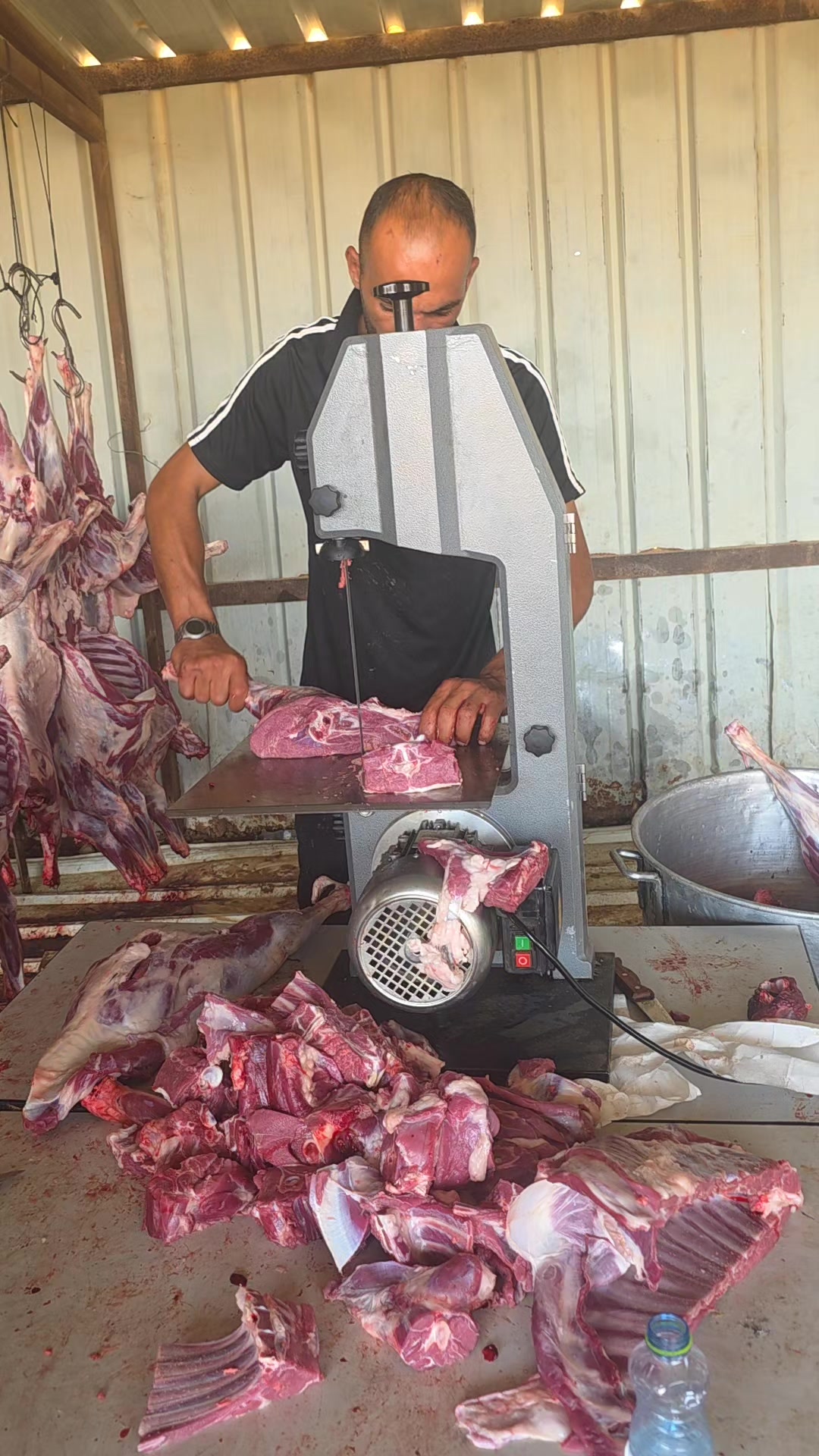@رامي تبرنه