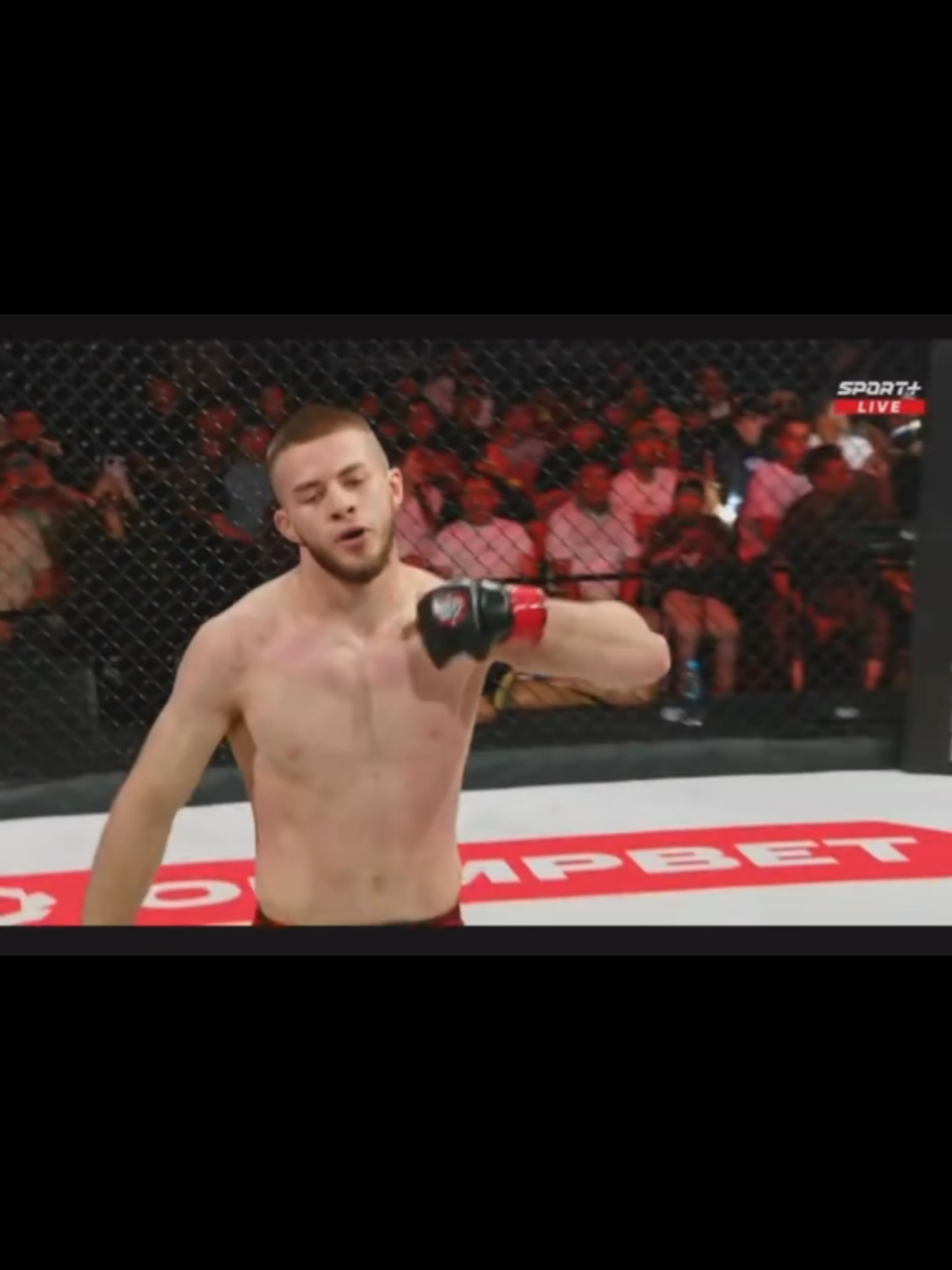 @🇺🇸MMA/AZE🇦🇿🇪🇺